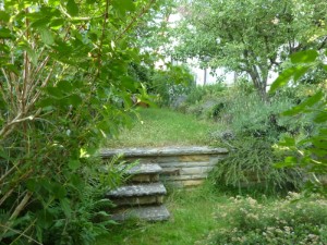 Gartenblick Gartenblick